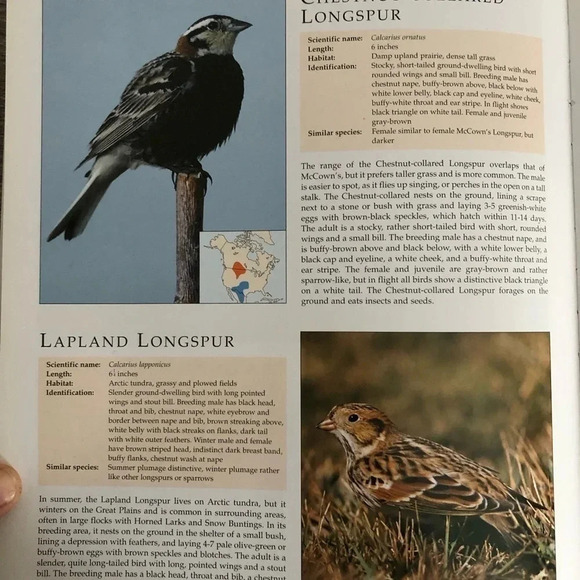 Vtg The Encyclopedia of North American  Birds - Picture 8 of 8